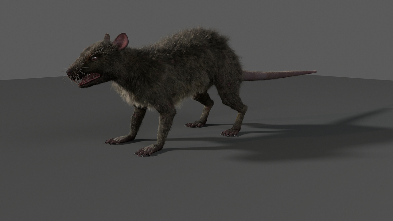 mo jin fu 老鼠毛发作品（图ZMTk5OTU4Njk2） - 动画/影视 - 站酷设计师隔壁王同学原创素材 - 站酷ZCOOL