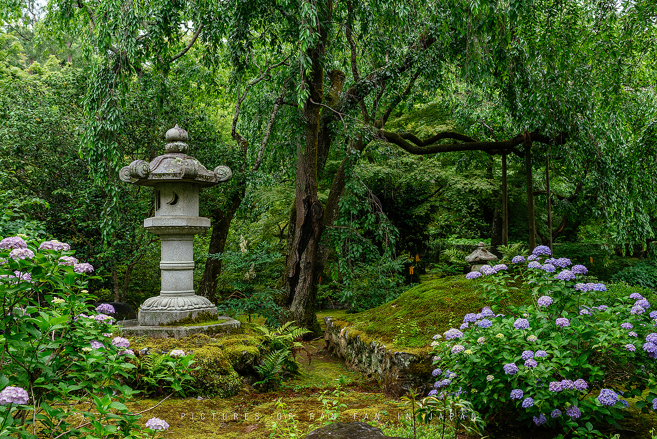 独自一人初涉日本,为期12天的自由行——京都篇(4)
