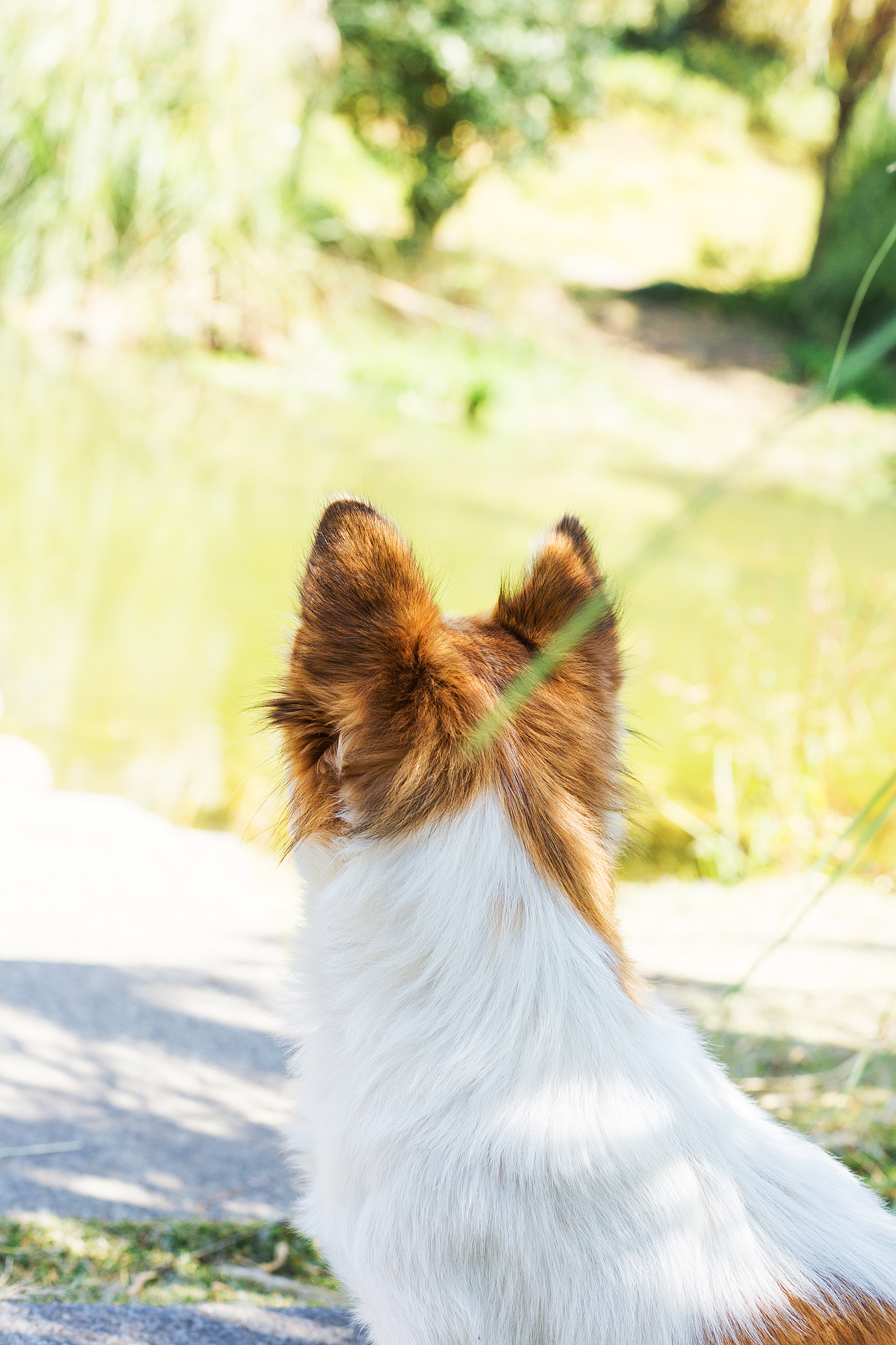 周六 晴（图ZMTM0MjY3Mjg0） - 产品摄影 - 站酷设计师十月Me原创素材 - 站酷ZCOOL