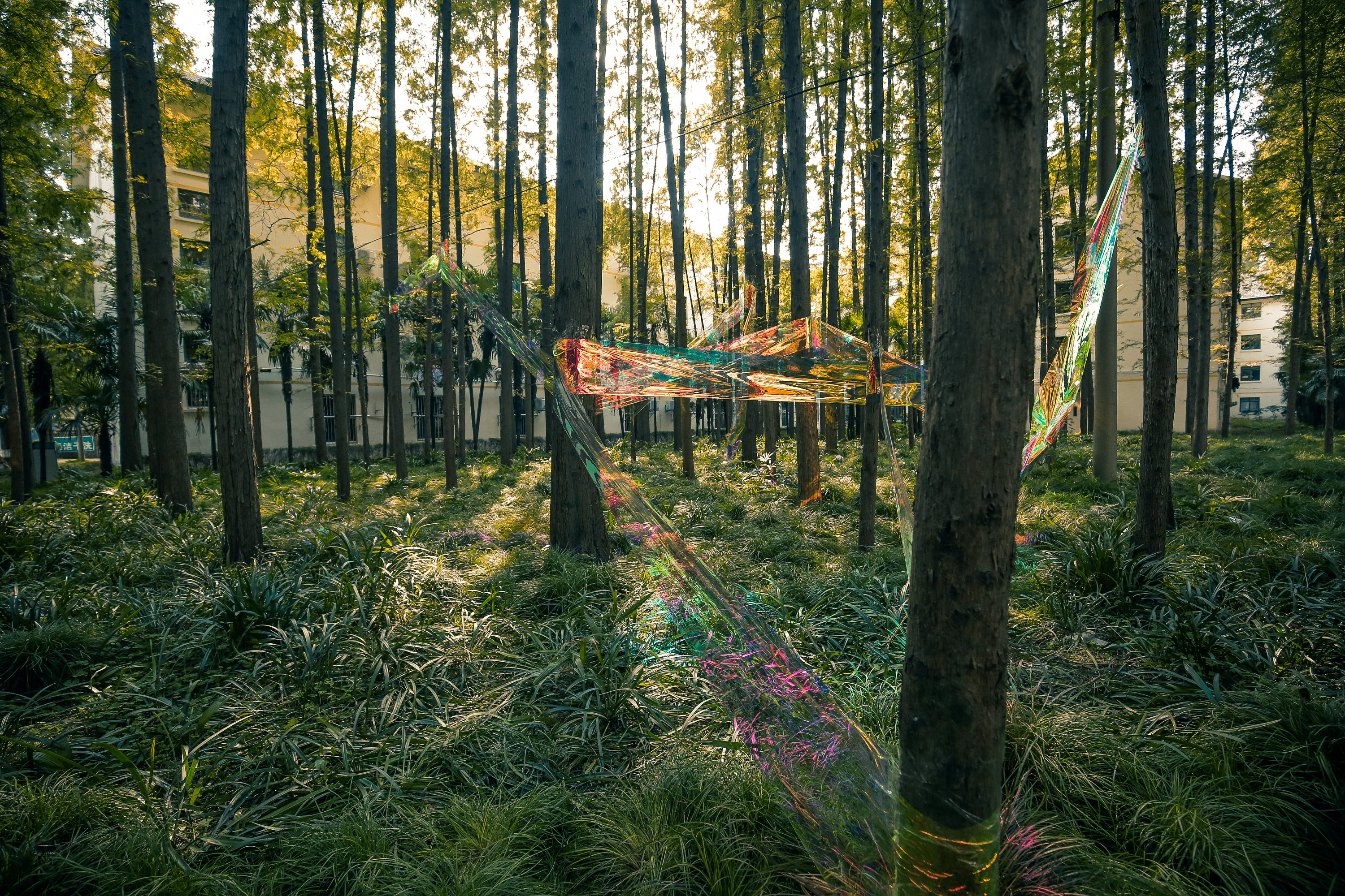 gleam in the forest 图赏|空间|景观设计|郑雄 - 原创作品 - 站酷