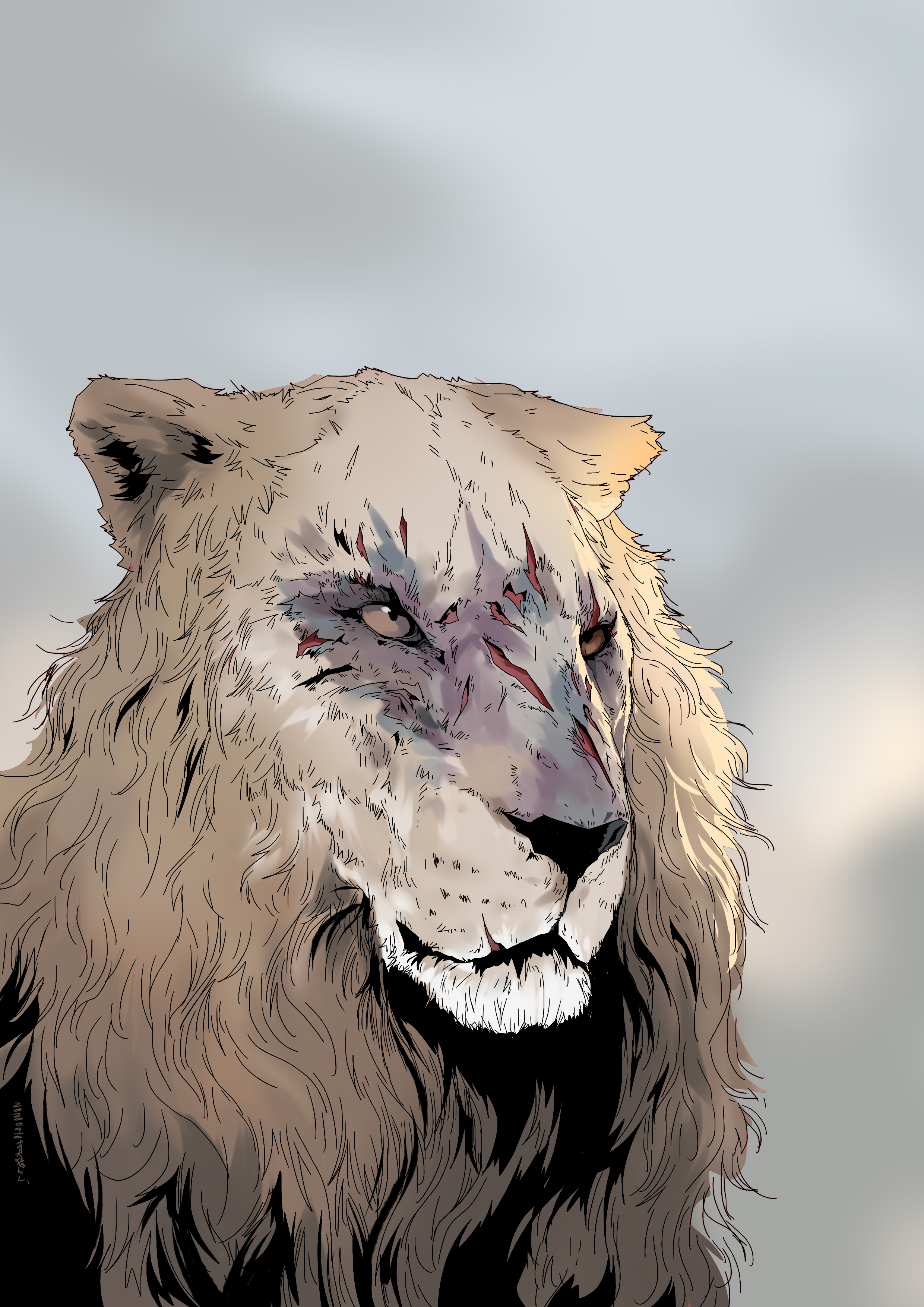 肖大猫NL的个人主页（封面预览） - 主页封面设置 - 站酷设计师肖大猫NL原创素材 - 站酷ZCOOL