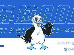 ip设计