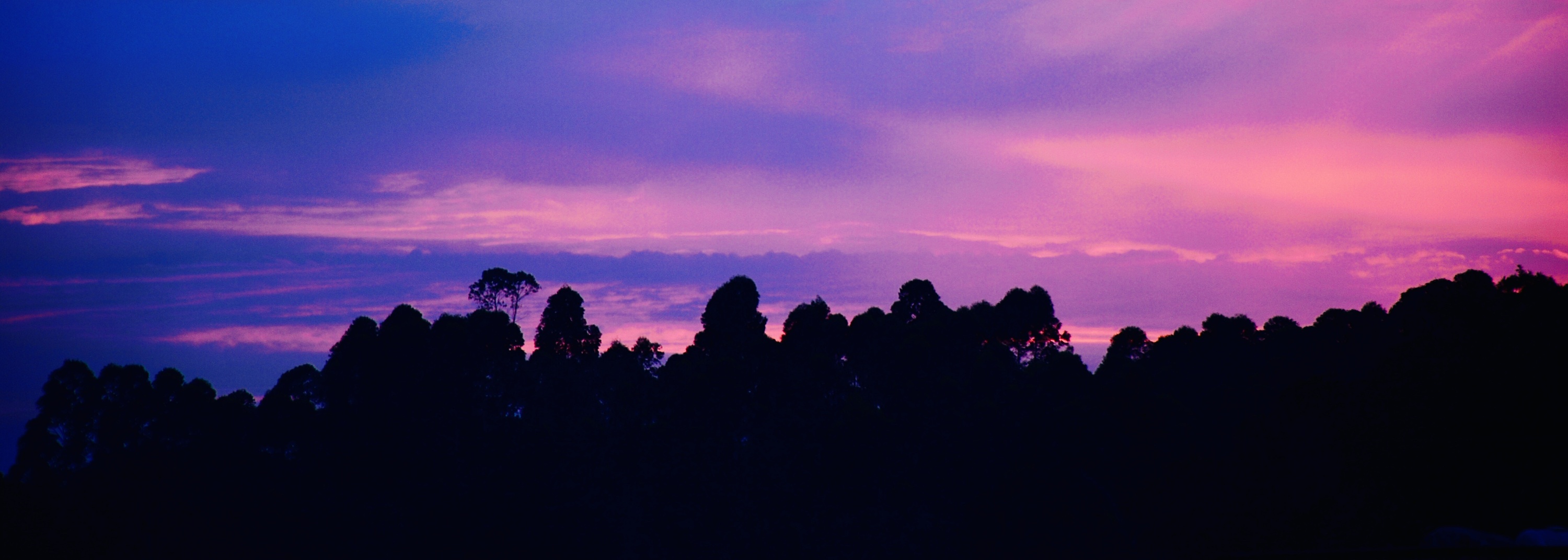 让晚风轻轻吹送了落霞