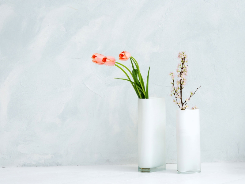 Z72465536的个人主页（背景预览） - 主页背景设置 - 站酷设计师Z72465536原创素材 - 站酷ZCOOL