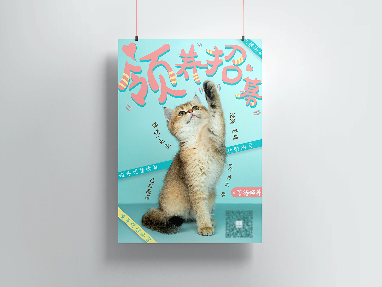 宠物领养海报 | 猫咪（图ZMjc3OTI2NzA0） - 海报 - 站酷设计师C略略原创素材 - 站酷ZCOOL