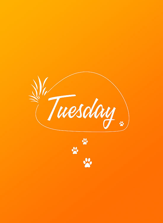 一周 系列小卡片