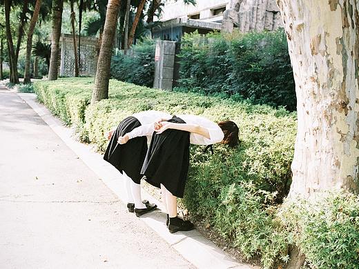 在动物园散步才是正经事