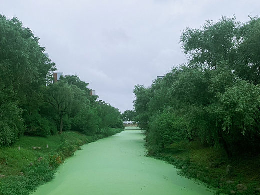 碧波