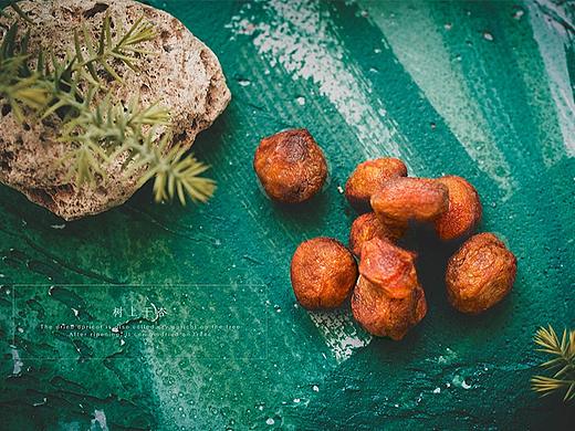 「树上干杏」-食物产品摄影