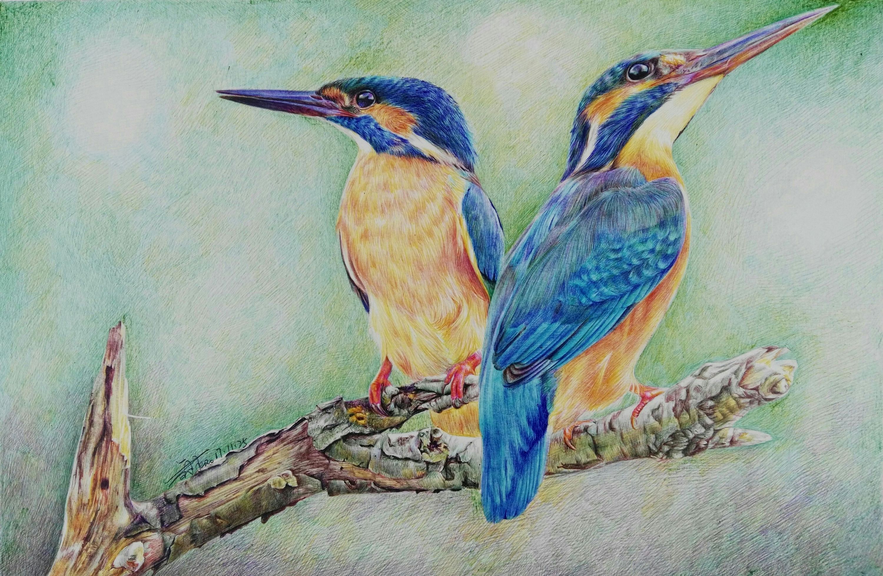 彩色圆珠笔作品《伴》