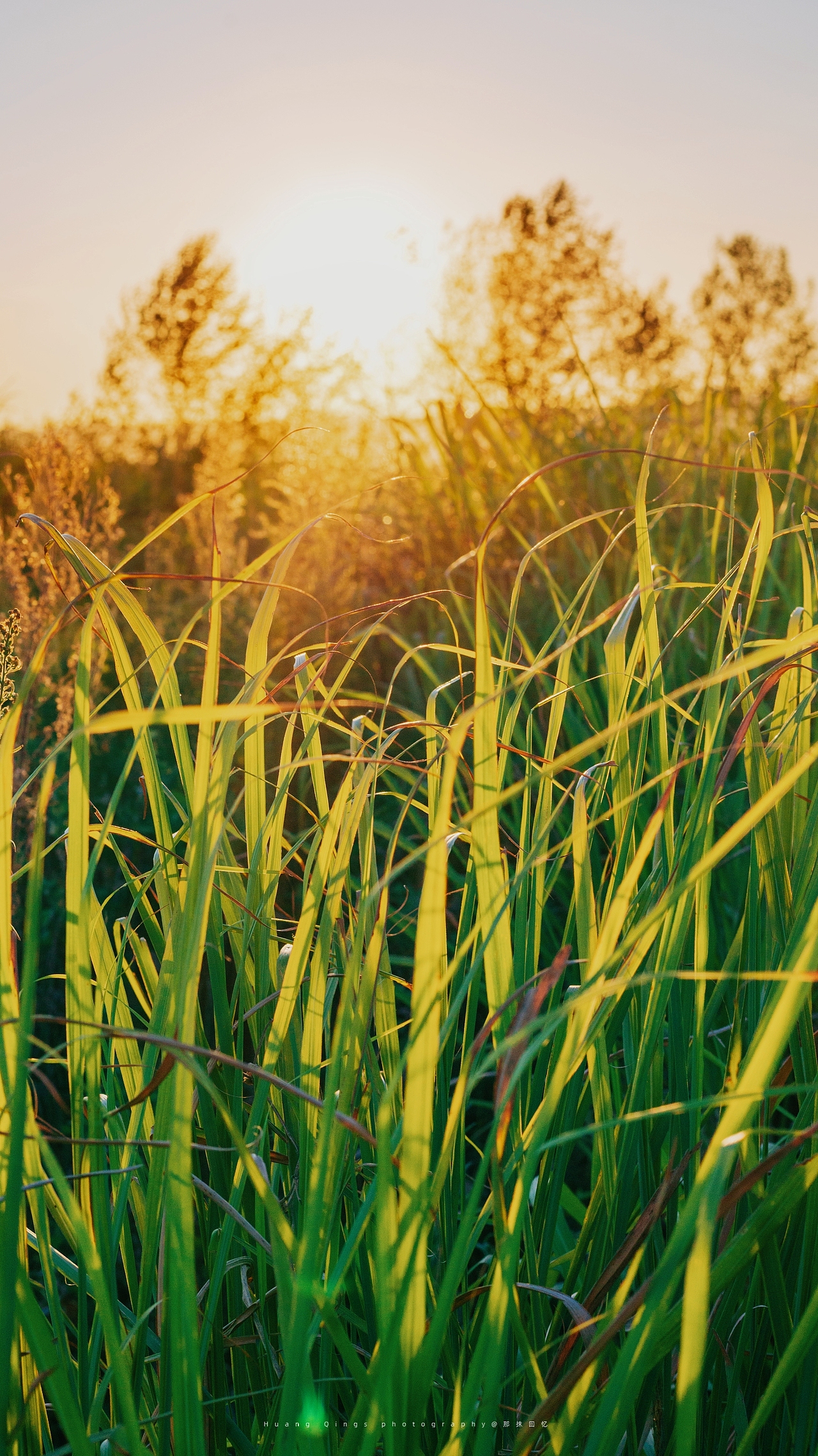 只要有光（图ZMzEzMzIyMTA0） - 其他摄影 - 站酷设计师无所谓对错原创素材 - 站酷ZCOOL