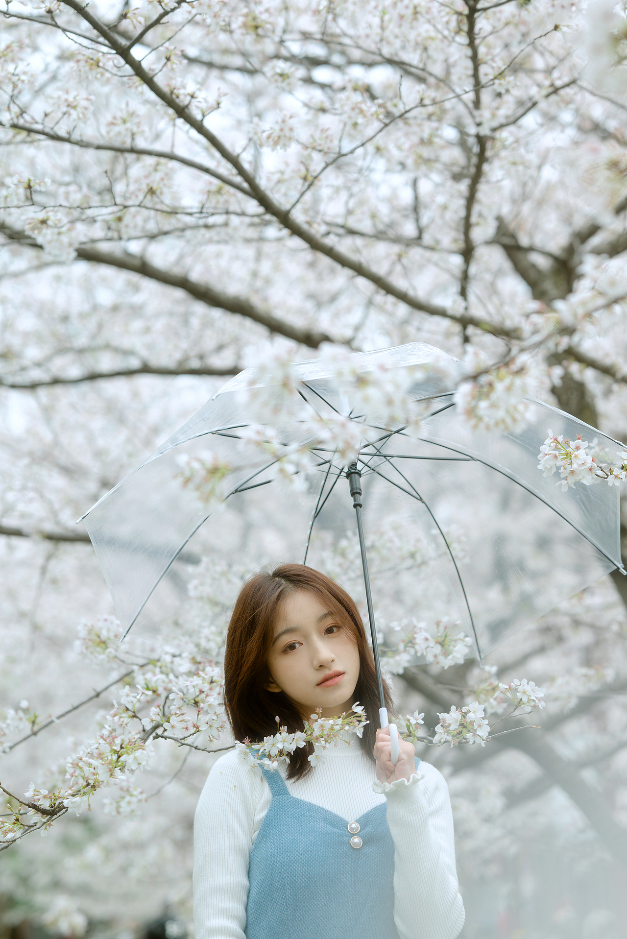 🌸樱花（图ZMzM2MjEwNDQ4） - 人像摄影 - 站酷设计师芥茉在拍照原创素材 - 站酷ZCOOL