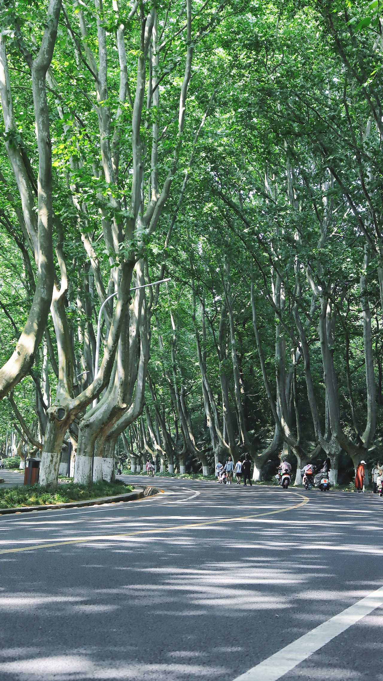 是南京城，亦可是金陵城（图ZMzY5OTQ2ODcy） - 风光摄影 - 站酷设计师JSky_猫原创素材 - 站酷ZCOOL