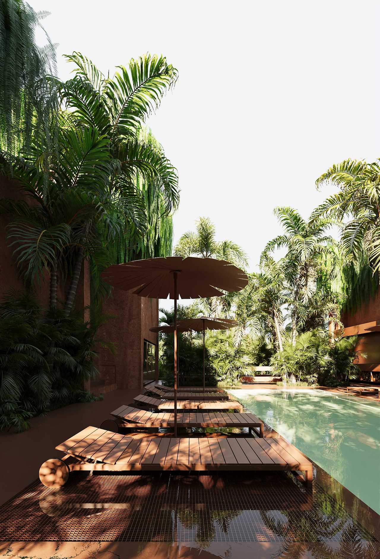 藏身在雨林的餐廳