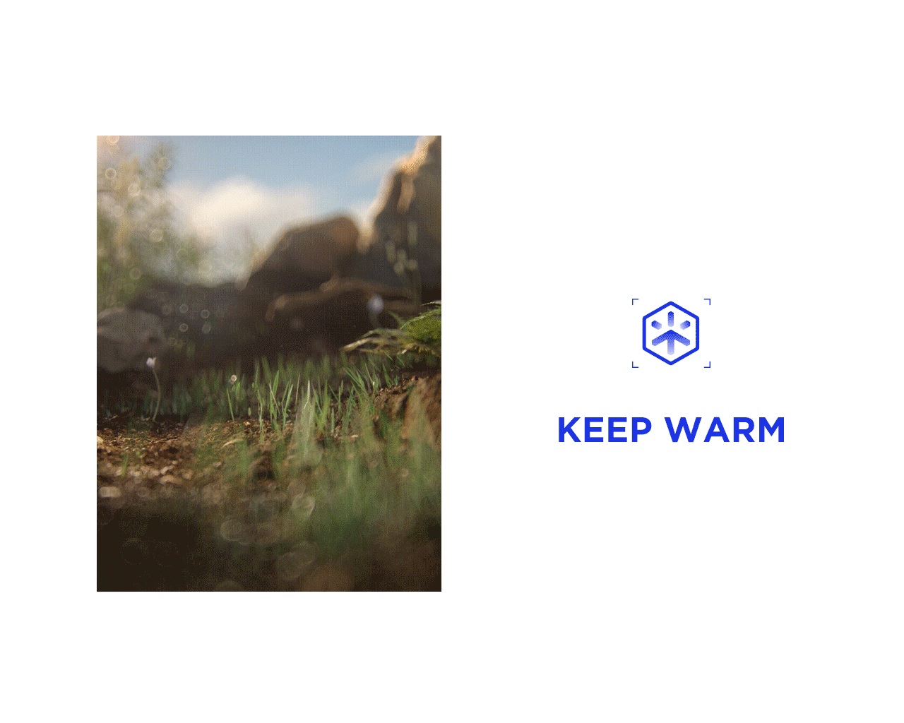 汤臣杰逊 X 海澜之家内衣|品牌新视觉