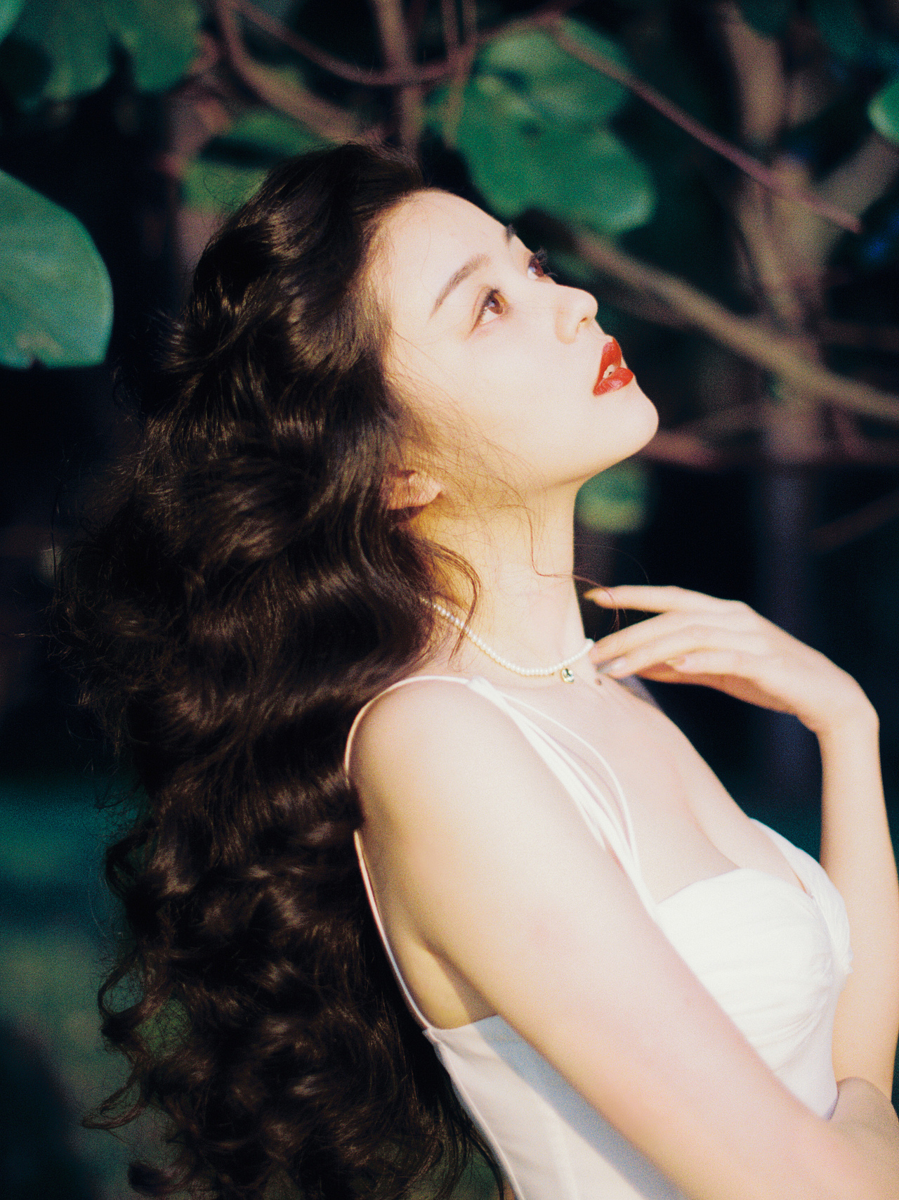 微风不噪,阳光甚好