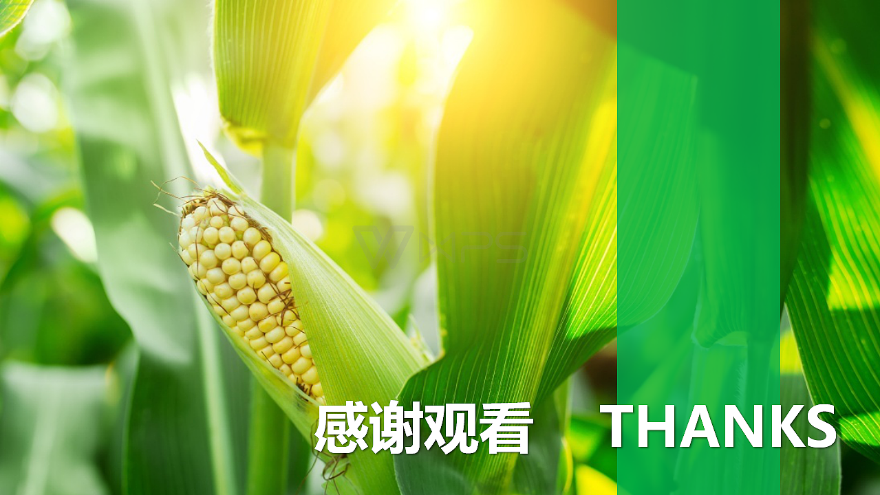 广东原生农业生物科技有限公司ppt（图ZMTE3MzEzODg0） - PPT/Keynote - 站酷设计师RexW一studio原创素材 - 站酷ZCOOL