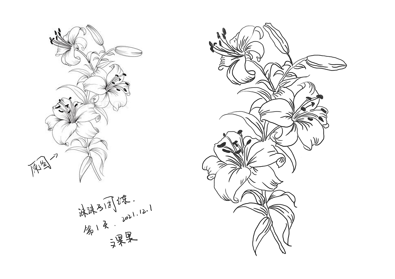 線稿練習(xí)（圖ZMjc5ODQ3Njk2） - 繪本 - 站酷設(shè)計師wx星原創(chuàng)素材 - 站酷ZCOOL