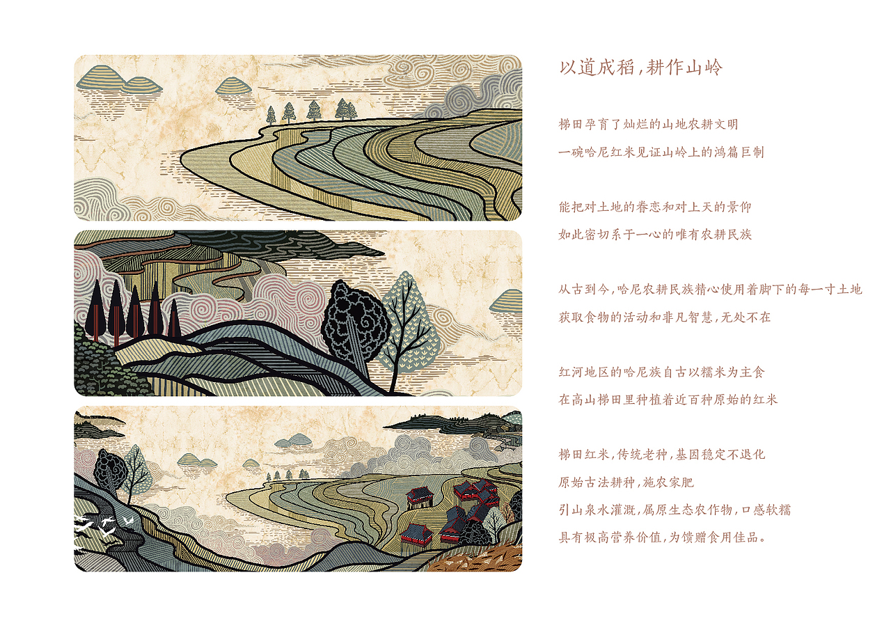 应时发生｜云南梯田红米品牌包装（图ZNjgwNjU0Njg=） - 包装 - 站酷设计师应时发生原创素材 - 站酷ZCOOL