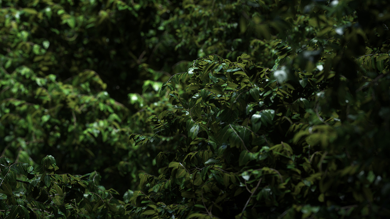 雨（图ZMjUyMDk2NzM2） - 动画/影视 - 站酷设计师lyot原创素材 - 站酷ZCOOL