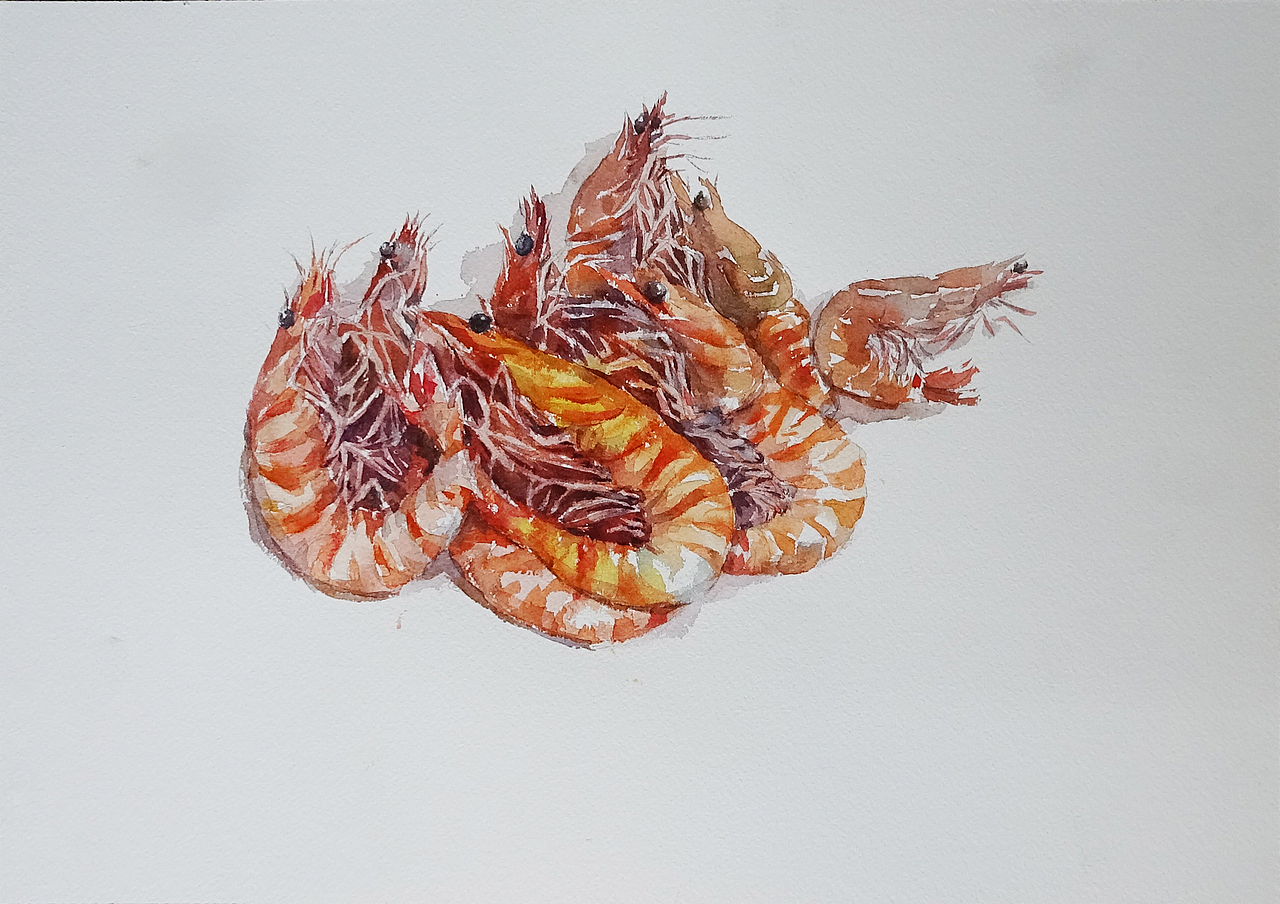 食材（图ZMTM5MTE4MzI0） - 绘本 - 站酷设计师萃艺博课堂原创素材 - 站酷ZCOOL