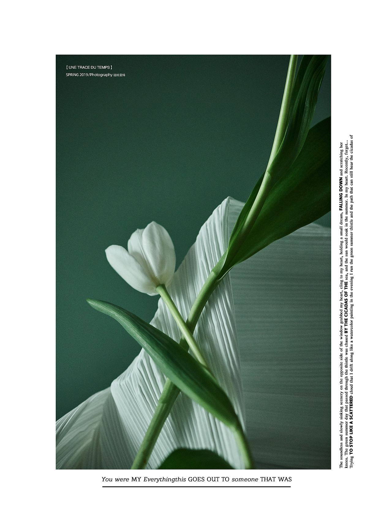 【对色的执念--观己观心】（图ZMTU4NDYzNDgw） - 产品摄影 - 站酷设计师瞌睡蜜蜂原创素材 - 站酷ZCOOL