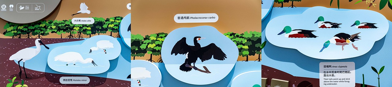 深圳湾公园湿地主题解说牌（图ZMjk1MDM5MzEy） - 图案 - 站酷设计师tofu豆腐原创素材 - 站酷ZCOOL