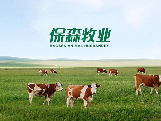 保森牧业logo