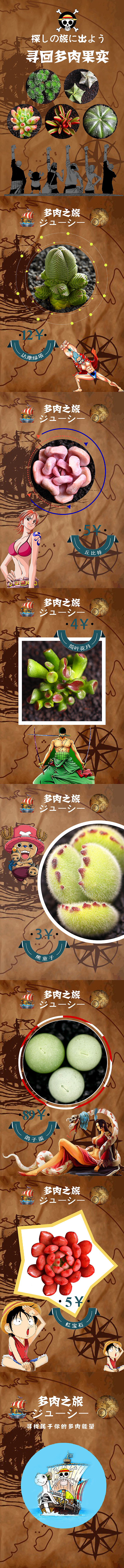 寻找多肉（图ZMTgzMzk5ODEy） - 运营设计 - 站酷设计师苍梧弥泥原创素材 - 站酷ZCOOL