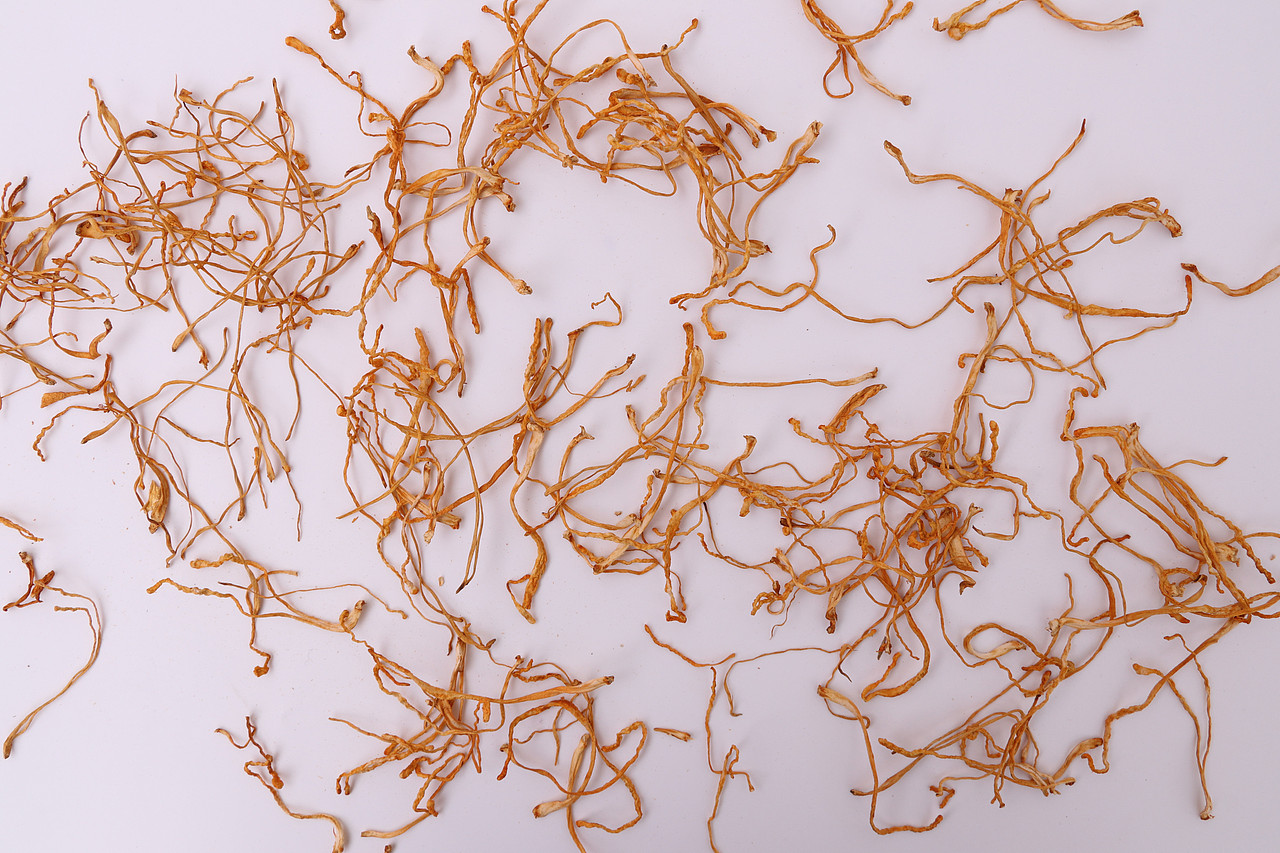 B02药材药品\C01-农产药材\V04虫草花X1-QM