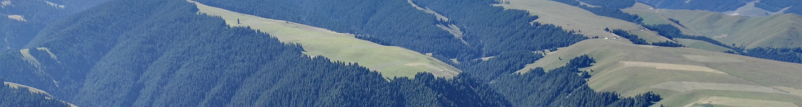 迷茫中的外星人的個(gè)人主頁(yè)（封面預(yù)覽） - 主頁(yè)封面設(shè)置 - 站酷設(shè)計(jì)師迷茫中的外星人原創(chuàng)素材 - 站酷ZCOOL