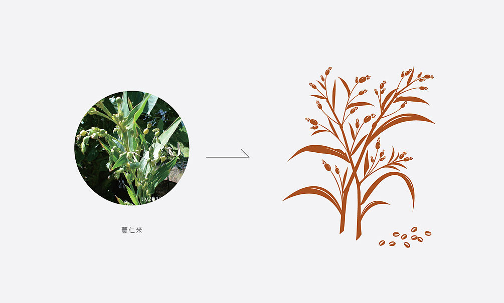 大和恒品牌产品包装设计