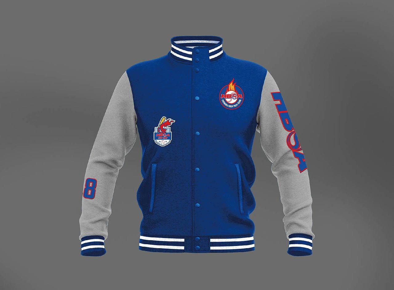 成都市高新区棒垒球协会VI