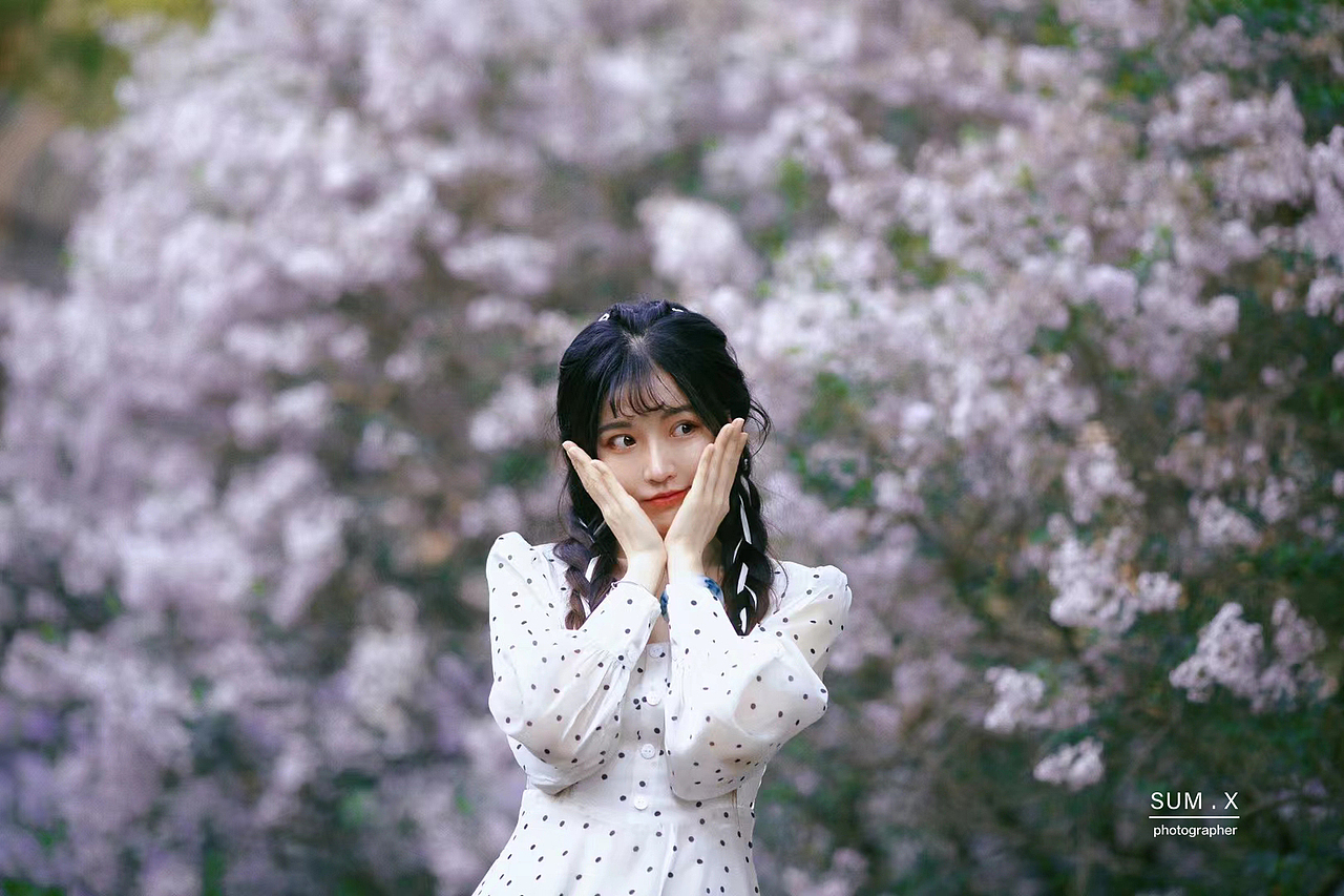 我是不是与你见过春天