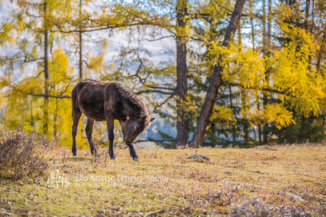北疆行迹（图ZOTQwODY1NzY=） - 风光摄影 - 站酷设计师kiwihello原创素材 - 站酷ZCOOL