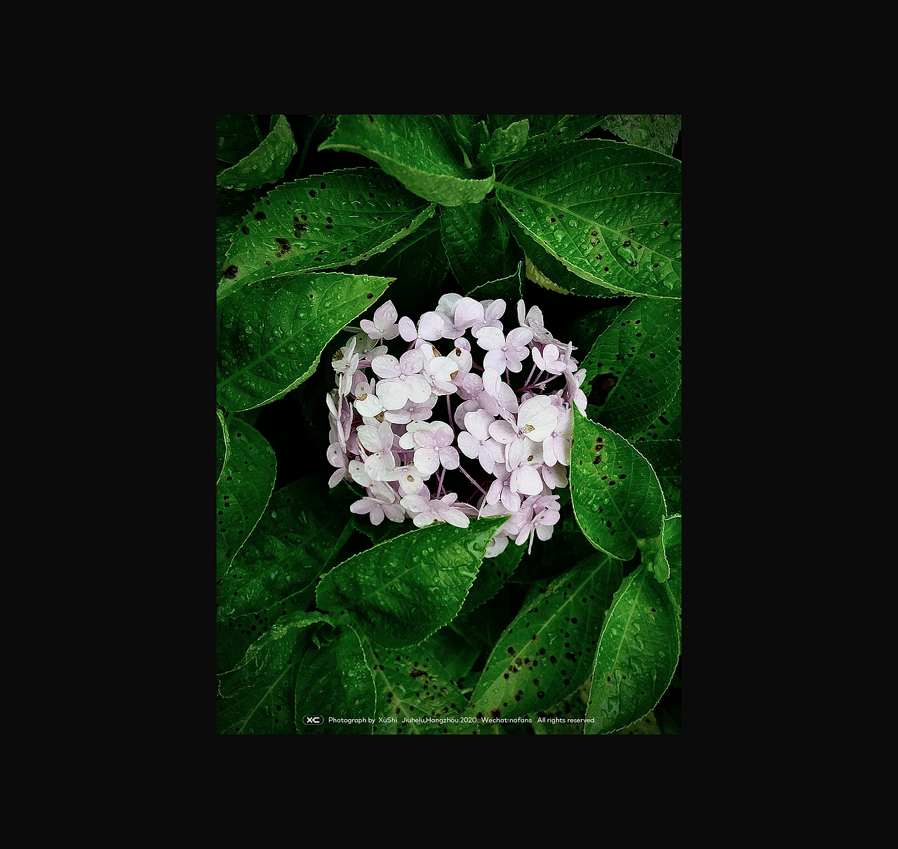 过眼集·贰 | iPhone摄影（图ZMjUxOTc1NTU2） - 人文/纪实摄影 - 站酷设计师nofans徐适原创素材 - 站酷ZCOOL