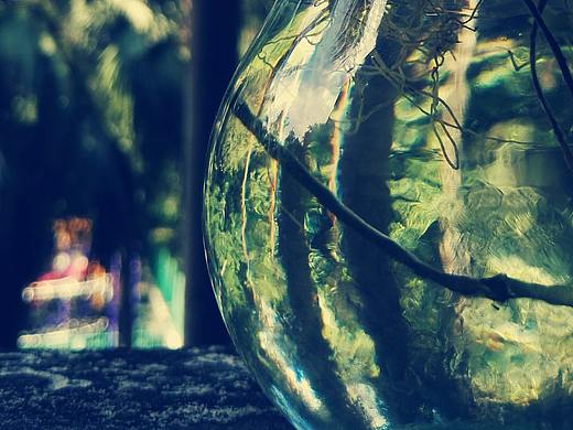 2017静物摄影“凉爽”