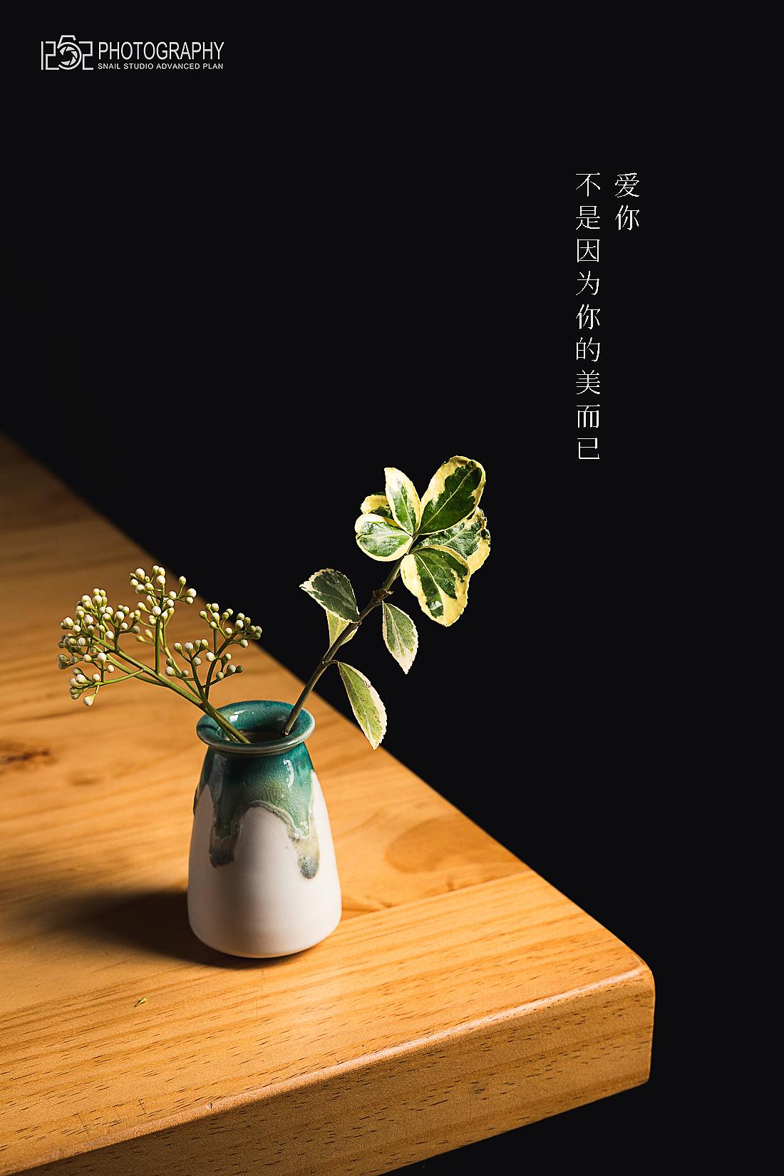 #1252第五十一轮约拍##桌角大法#