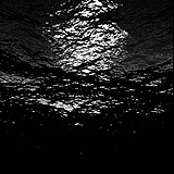 Number_06的头像