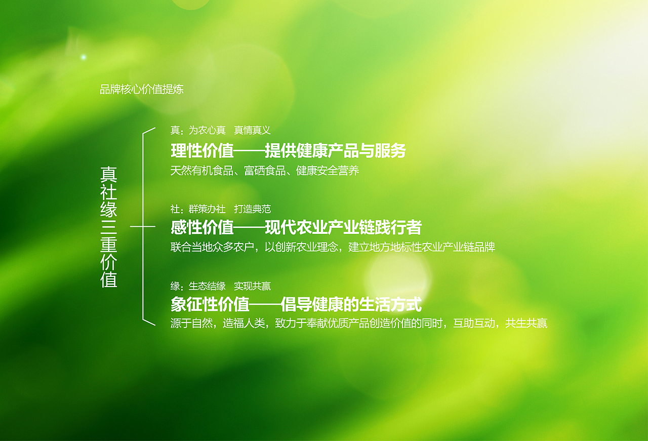 真社缘——大荔冬枣品牌形象与包装设计（图ZMTE2NzE2Njky） - 包装 - 站酷设计师春分品牌设计原创素材 - 站酷ZCOOL