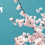森玉的头像