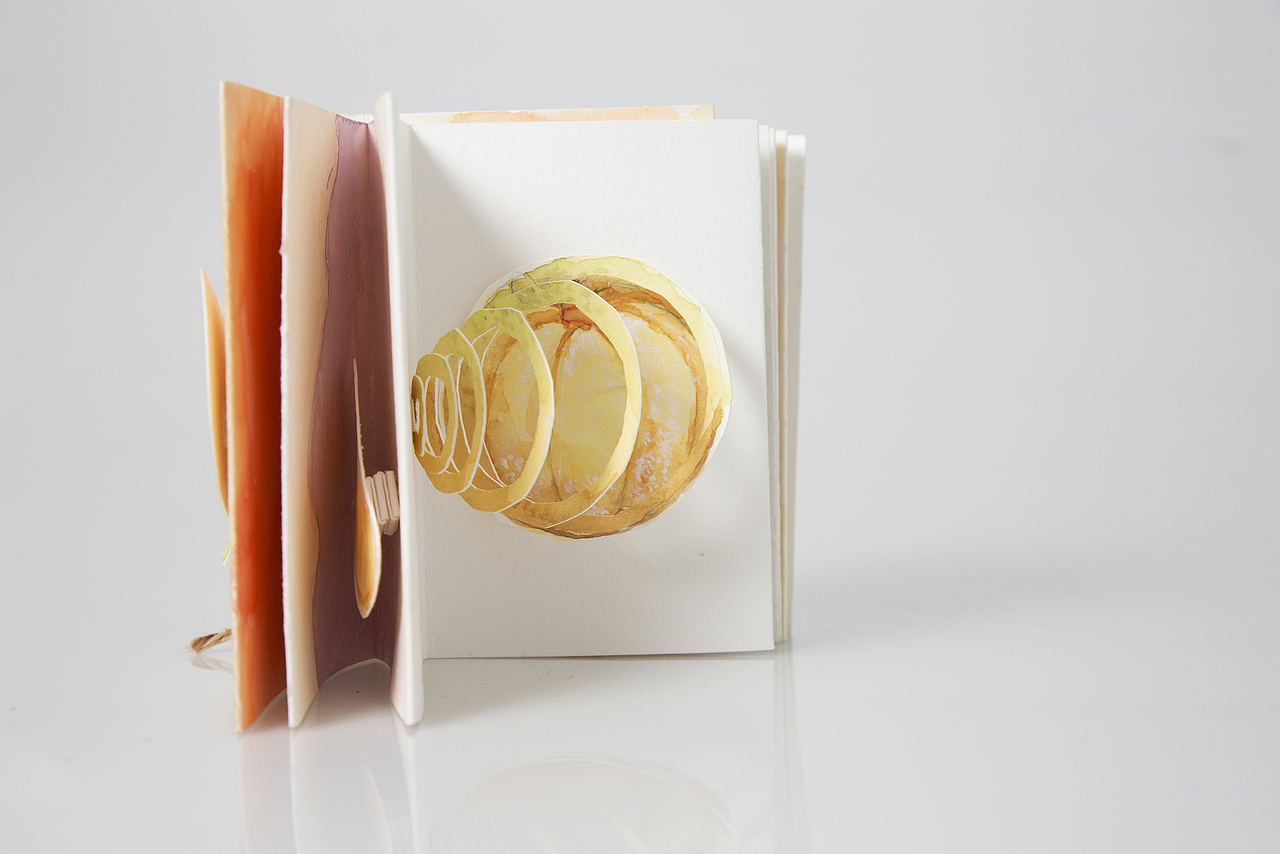 陈皮使用手册（Tangerine Manual）（图ZMjE3ODE4NDk2） - 儿童插画 - 站酷设计师bolei0718原创素材 - 站酷ZCOOL