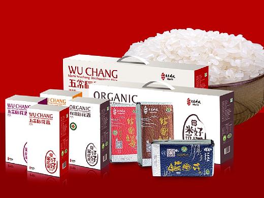 大米科技全品牌设计服务