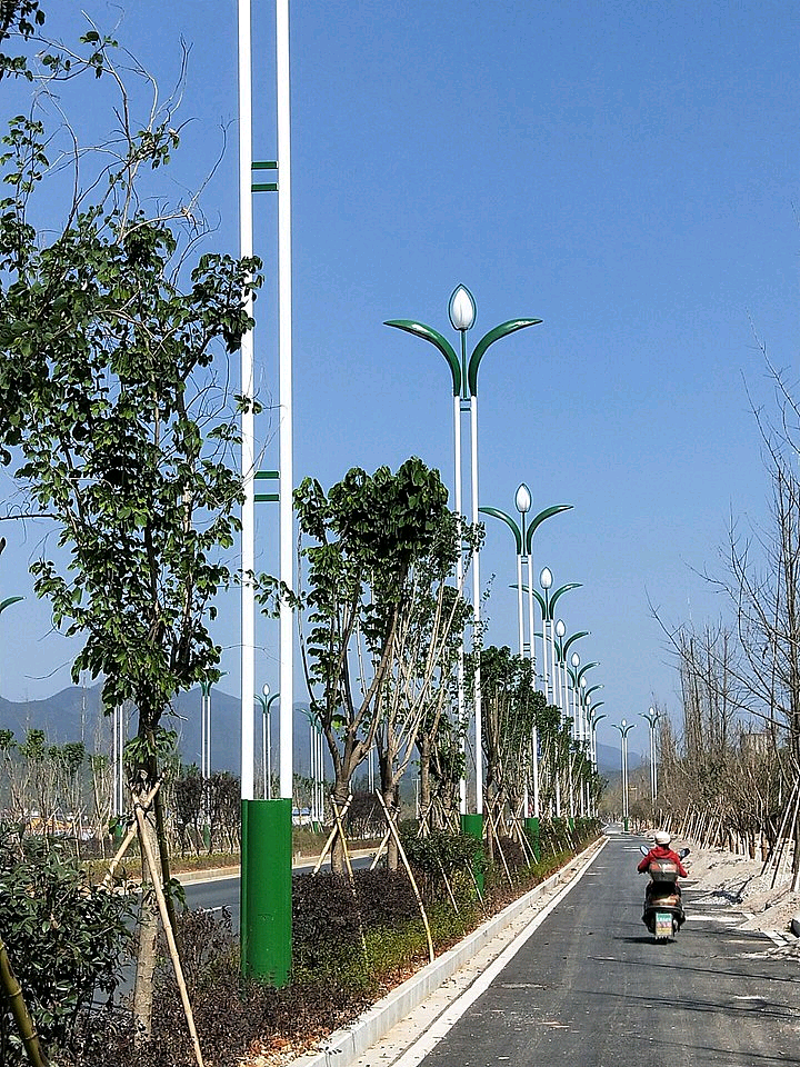 地区文化造型路灯-简单大气双臂路灯