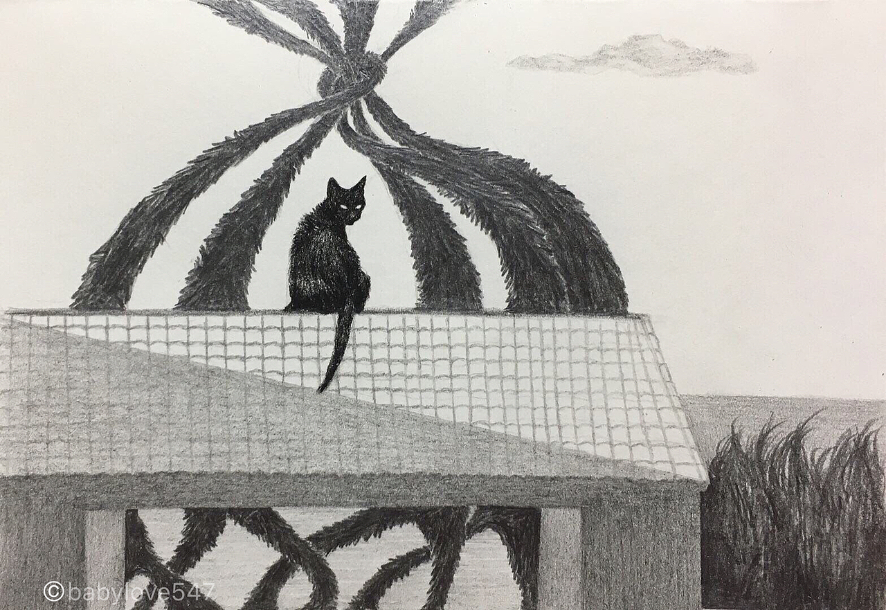 黑猫系列（图ZMTE0MjA1Mjky） - 创作习作 - 站酷设计师Sunny9058原创素材 - 站酷ZCOOL