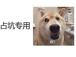 稍等稍等