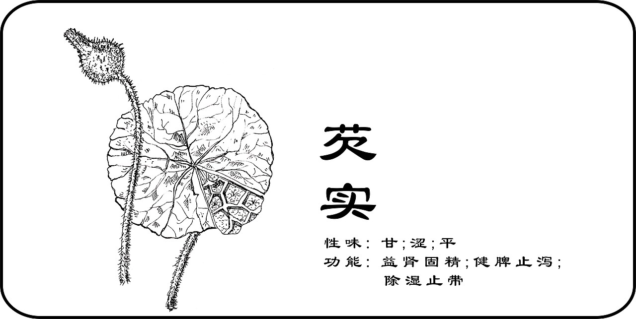 中草药手绘标示（图ZMzY3MzI5ODA=） - 创作习作 - 站酷设计师一二零七原创素材 - 站酷ZCOOL