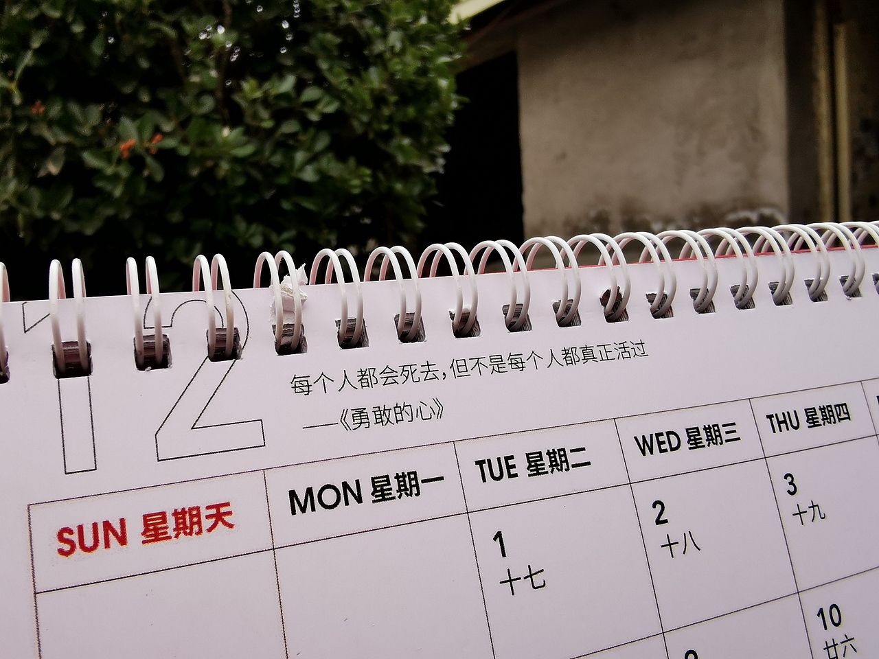 2020年台历（图ZMTk0OTkzNTEy） - 书籍/画册 - 站酷设计师马不远原创素材 - 站酷ZCOOL