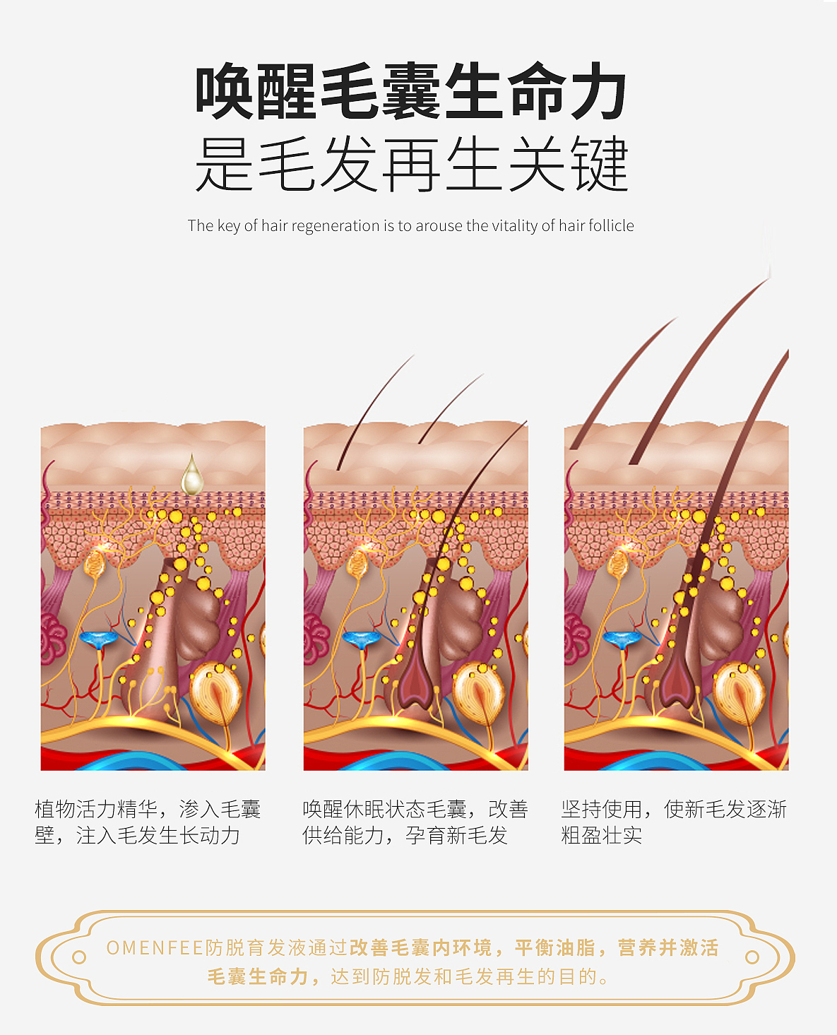 防脱育发液详情页