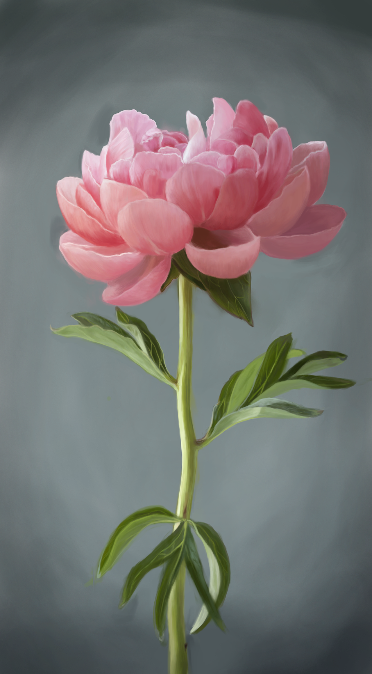 手绘练习（图ZMTI4NDU2ODcy） - 艺术插画 - 站酷设计师零一无泪原创素材 - 站酷ZCOOL